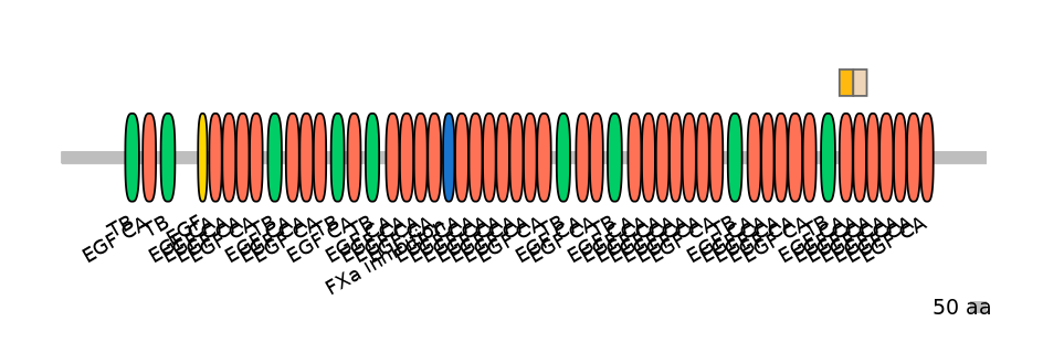 HsaINT0062553-EXC
