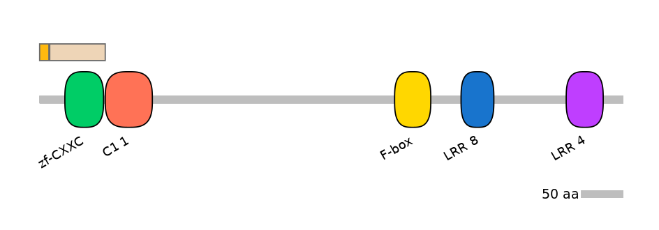 HsaINT0062646-EXC