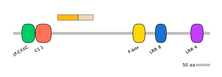 HsaINT0062651-EXC