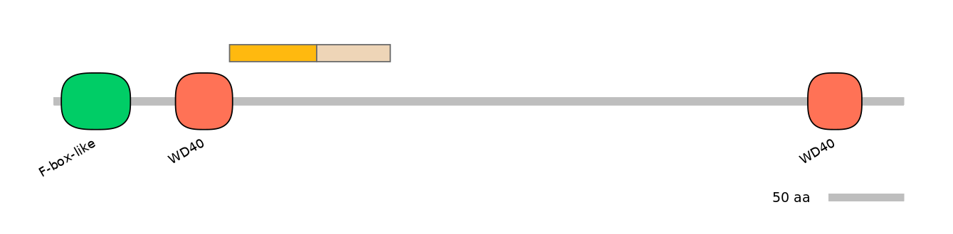 HsaINT0063057-EXC