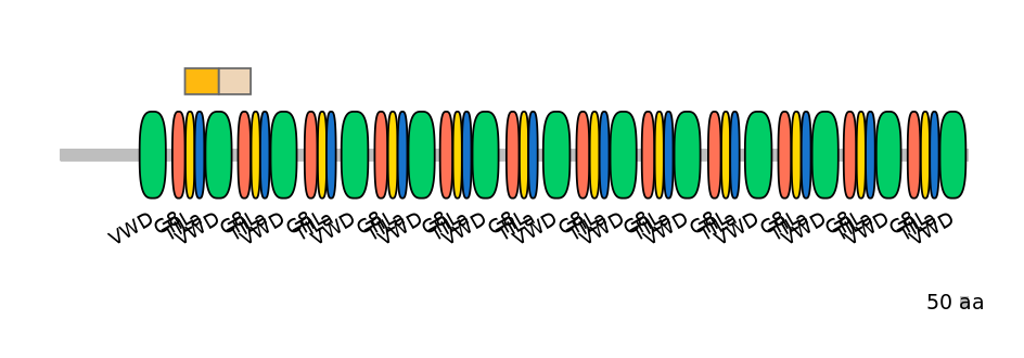 HsaINT0063164-EXC