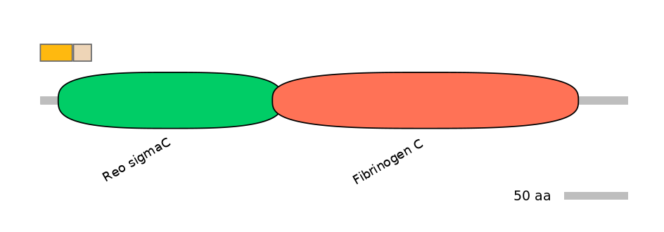 HsaINT0064006-EXC