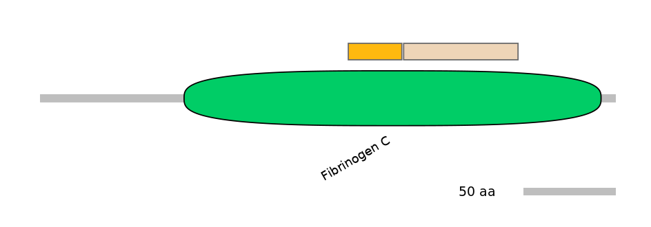 HsaINT0064036-EXC