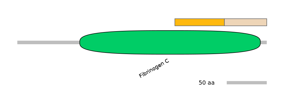 HsaINT0064037-EXC