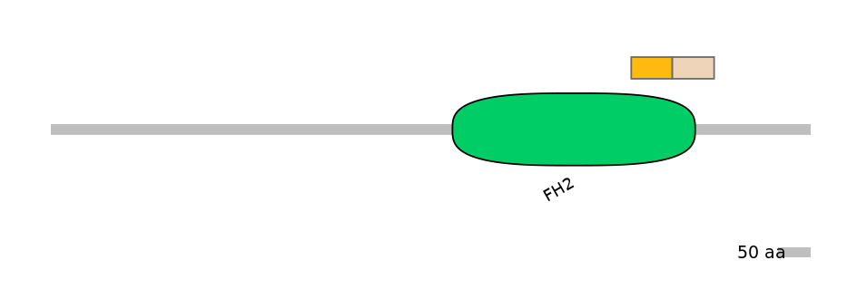 HsaINT0064155-EXC