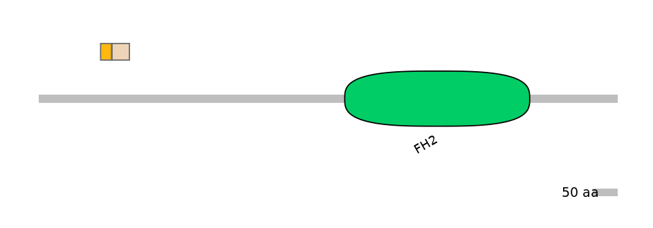 HsaINT0064161-EXC