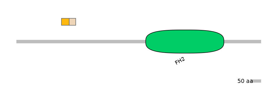 HsaINT0064164-EXC