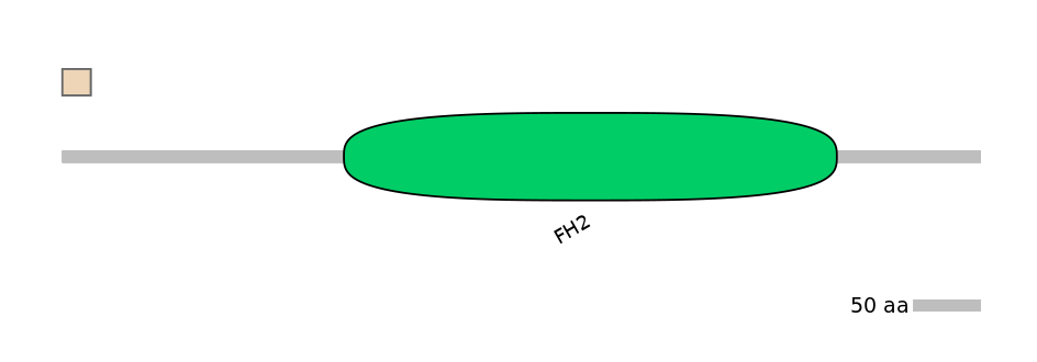 HsaINT0065099-INC