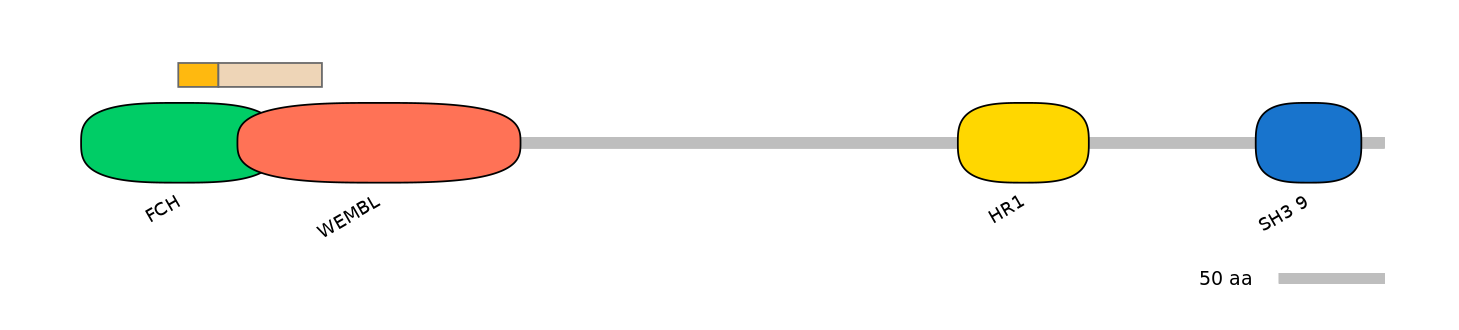 HsaINT0065317-EXC