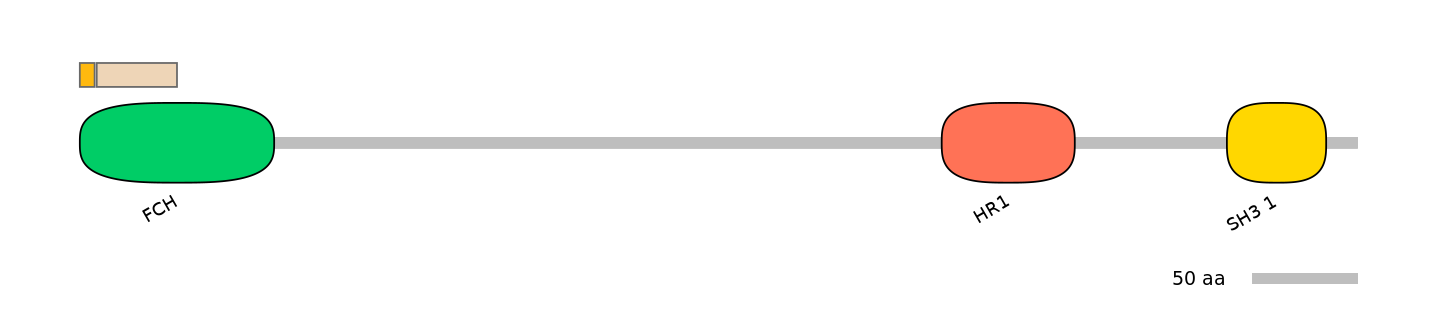 HsaINT0065324-EXC