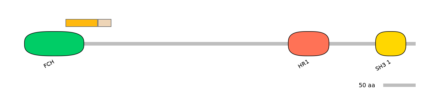 HsaINT0065330-EXC