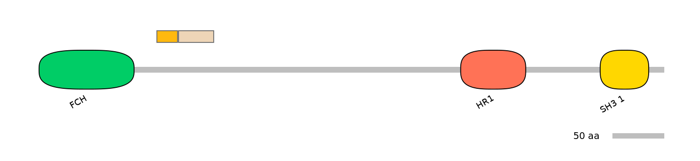 HsaINT0065331-EXC