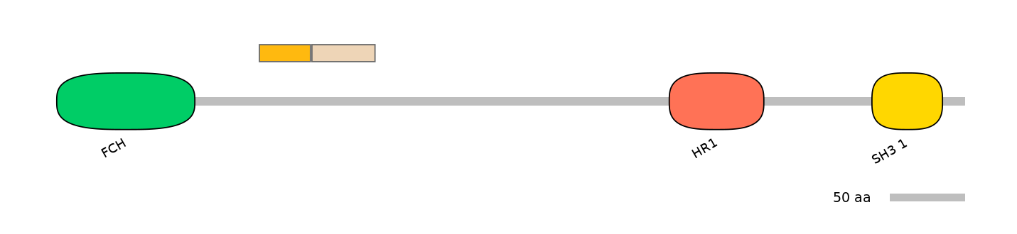 HsaINT0065332-EXC
