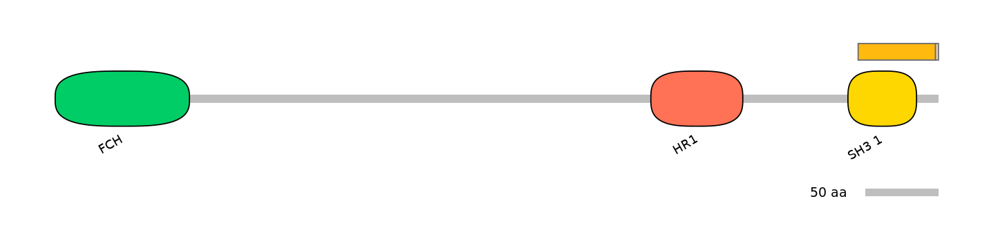 HsaINT0065338-EXC