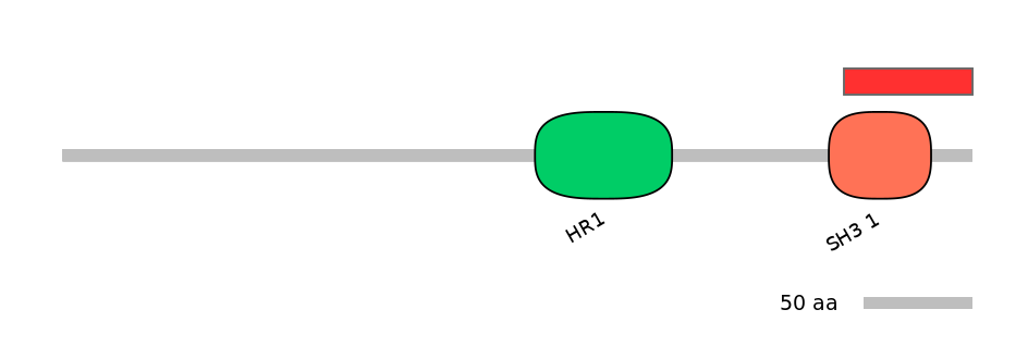 HsaINT0065338-INC