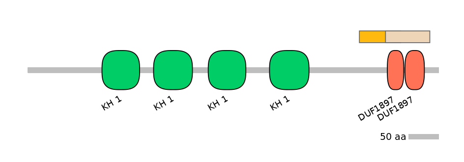 HsaINT0066538-EXC