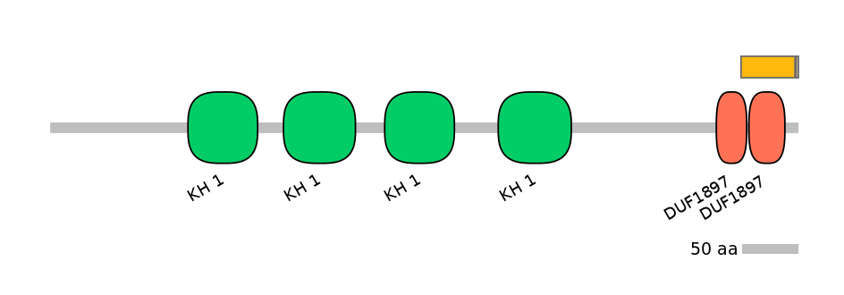 HsaINT0066540-EXC