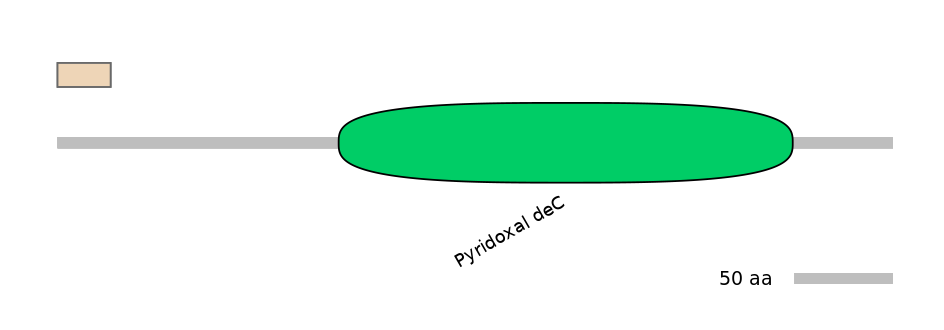 HsaINT0067233-INC