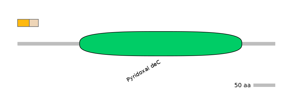 HsaINT0067234-EXC