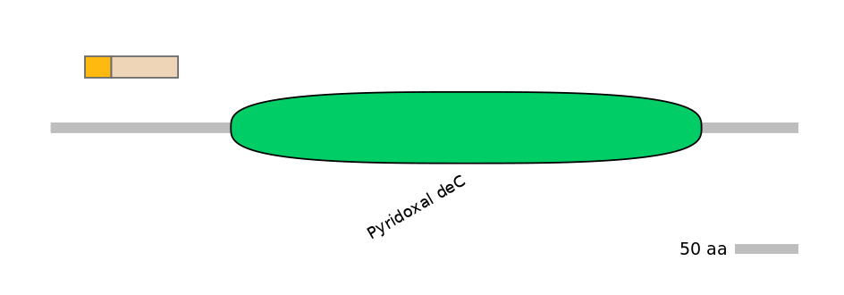 HsaINT0067235-EXC