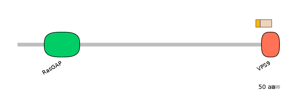 HsaINT0067735-EXC