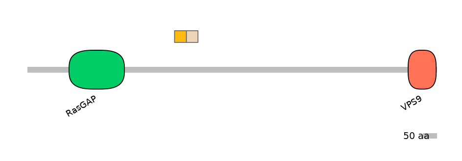 HsaINT0067742-EXC