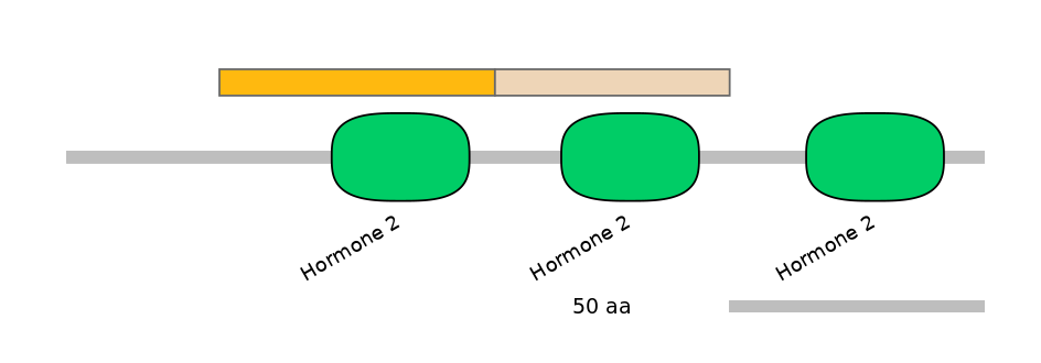 HsaINT0068255-EXC