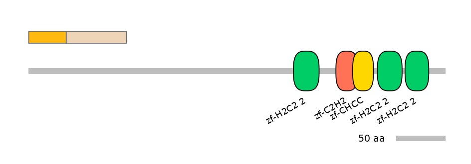 HsaINT0068655-EXC