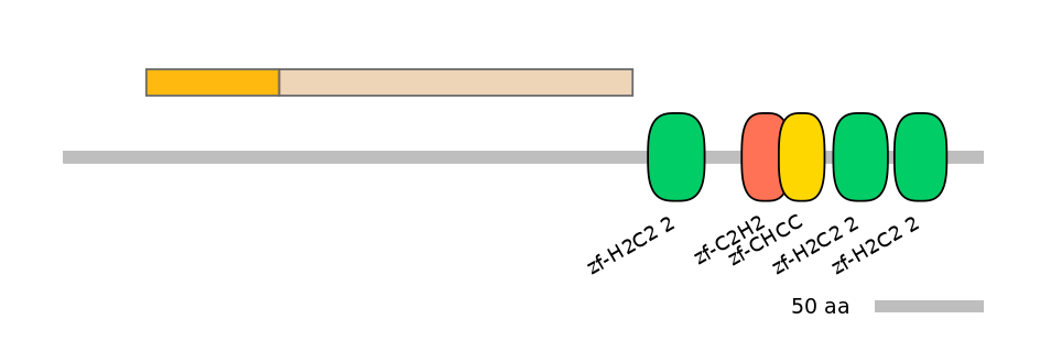 HsaINT0068656-EXC