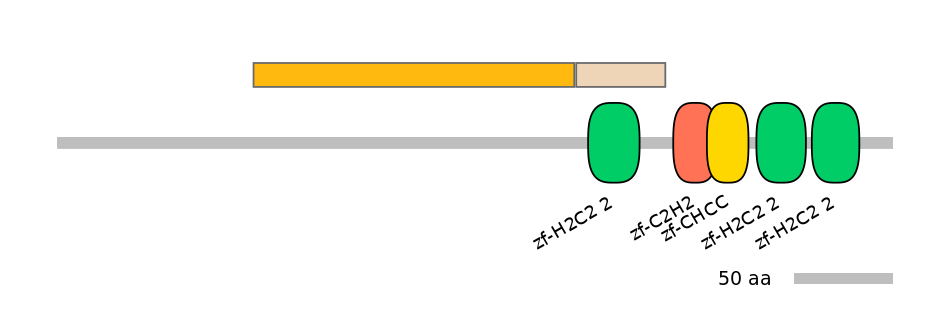 HsaINT0068657-EXC