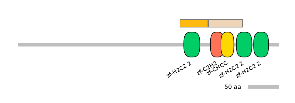 HsaINT0068658-EXC