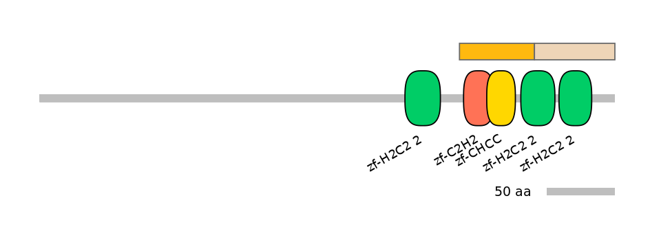 HsaINT0068659-EXC