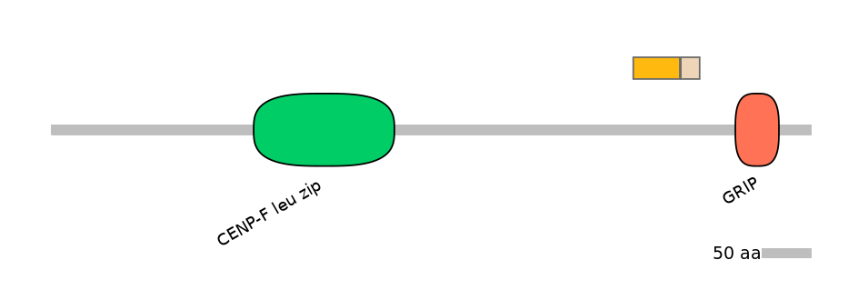 HsaINT0070371-EXC