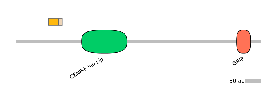 HsaINT0070379-EXC