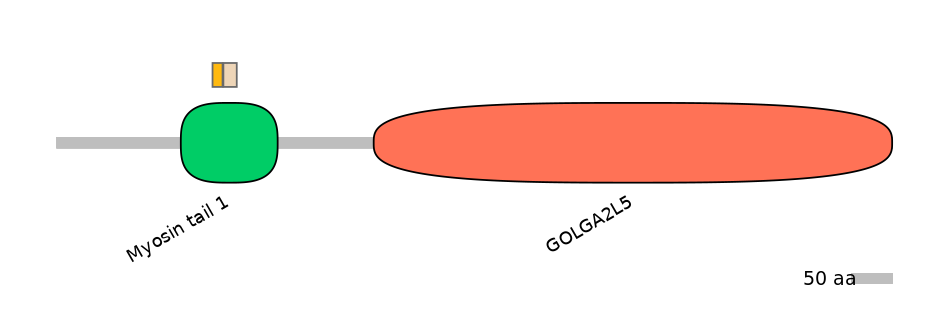 HsaINT0070406-EXC