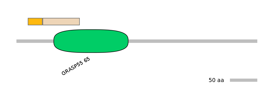 HsaINT0070788-EXC
