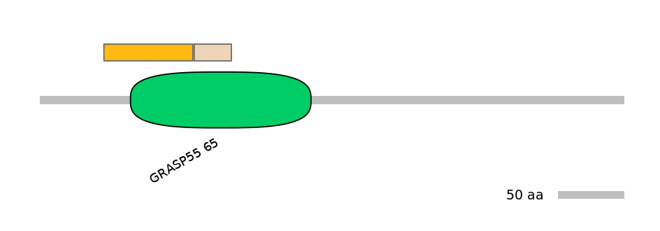 HsaINT0070789-EXC