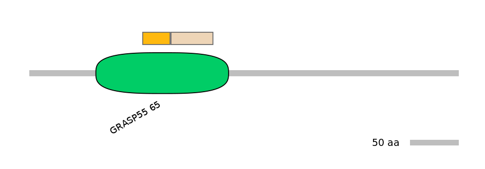 HsaINT0070790-EXC