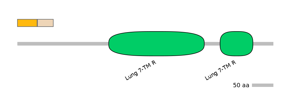 HsaINT0071239-EXC