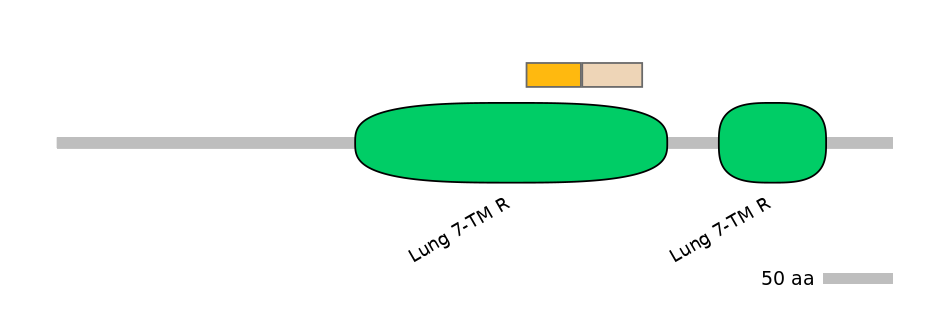 HsaINT0071242-EXC