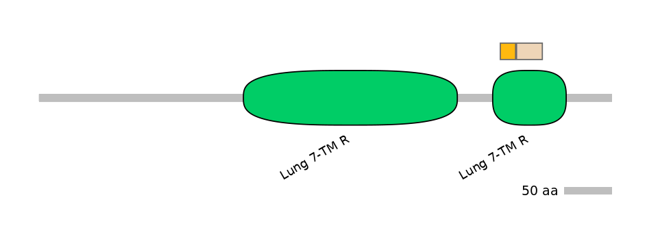 HsaINT0071247-EXC