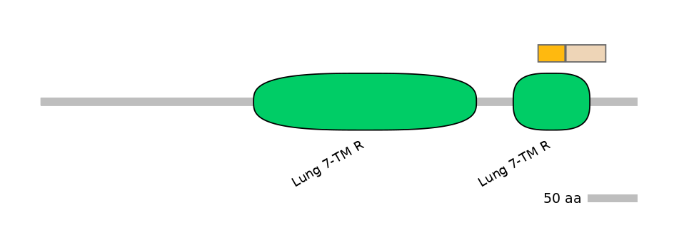 HsaINT0071248-EXC