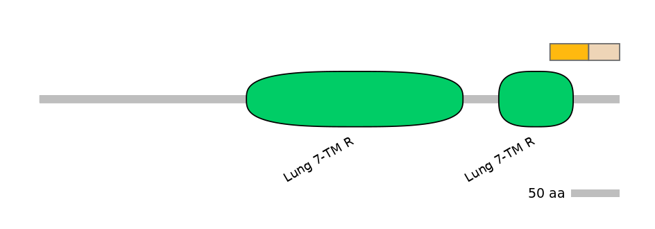 HsaINT0071249-EXC