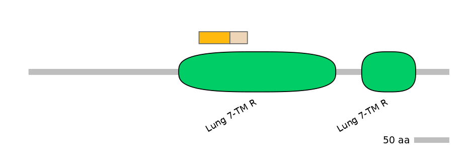 HsaINT0071257-EXC
