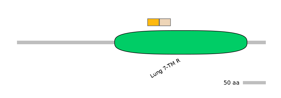 HsaINT0071262-EXC