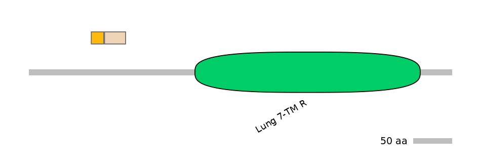 HsaINT0071271-EXC