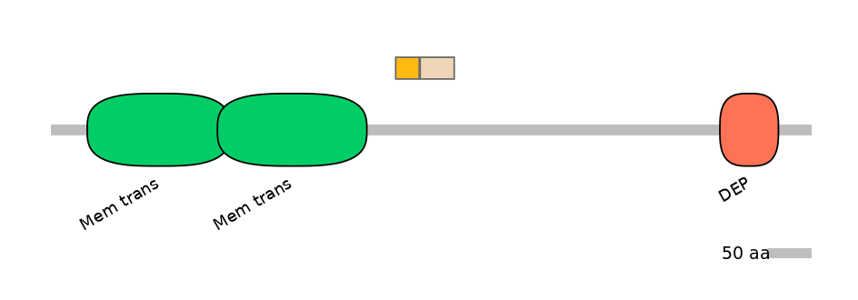 HsaINT0071569-EXC