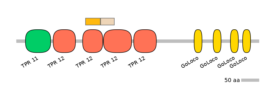 HsaINT0071934-EXC