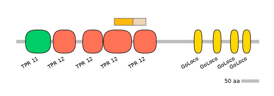 HsaINT0071936-EXC