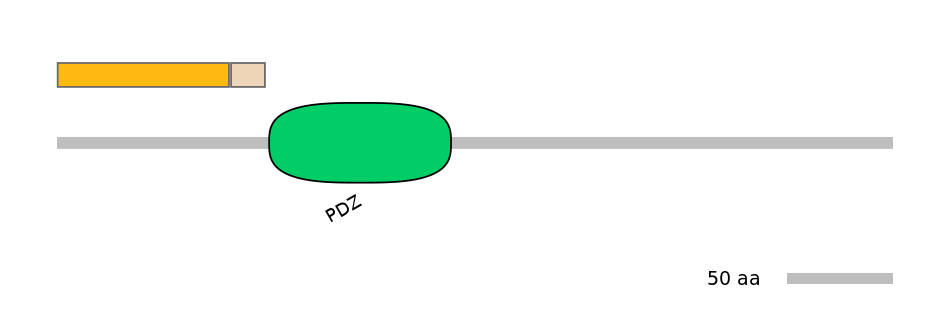 HsaINT0072110-EXC